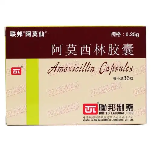 联邦阿莫仙 阿莫西林胶囊 0.