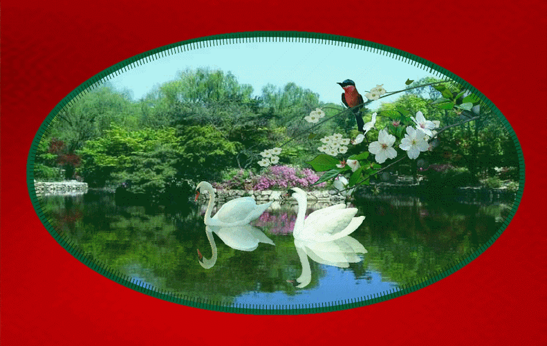 【gif-动图】—音画制作椭圆动态素材 同步歌词