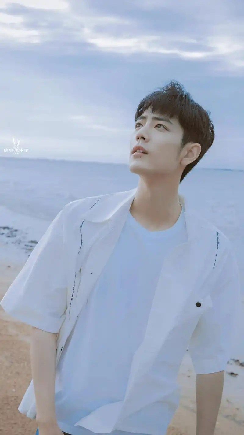 肖战发布海边写真,三家媒体争先报道,短时间竟获百万点赞