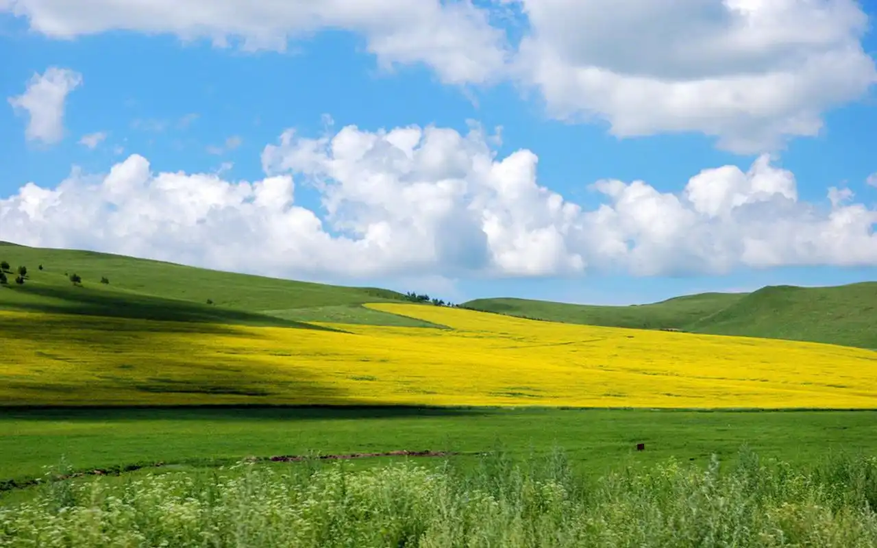 大自然清新美景图片桌面壁纸高清大图预览1920×1200_风景壁纸下载_美