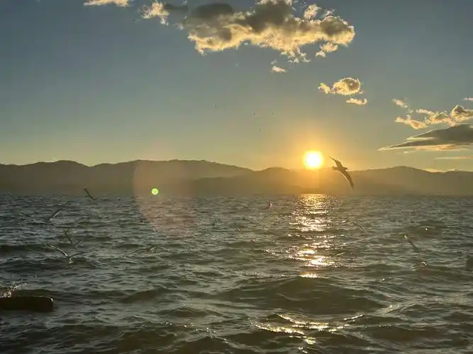 最后一站:大理#属于洱海的治愈系风景 #大理的天空不需要滤镜 - 抖音