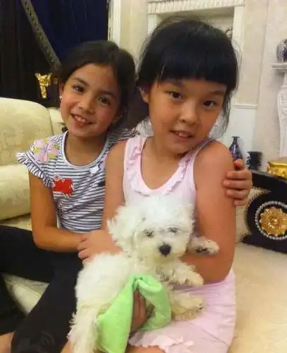 "李咏"唯一女儿,16岁美貌才华一身,父亲:差点错过女儿!