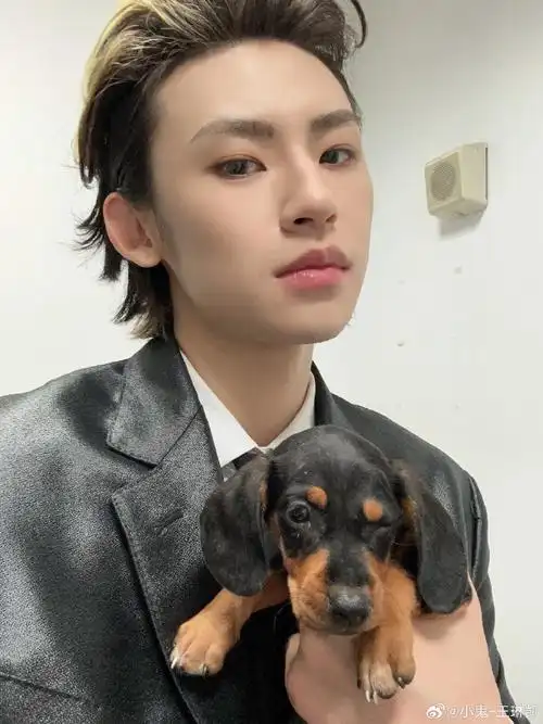 小鬼抱朋克小狗走红毯##小鬼红毯上遛狗