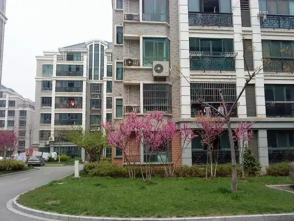 紫东新苑3室350万元周边配套完善