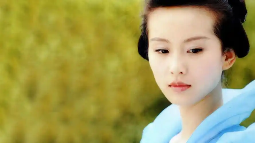 穿越美女--刘诗诗