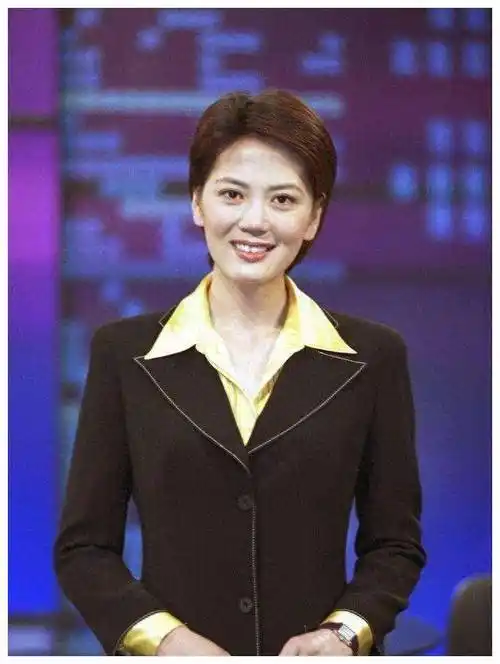 沈冰_事业_电视