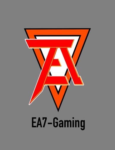 自己的电竞战队