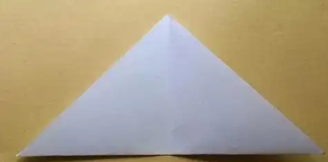 下面我们来学习用纸折飞爪吧!