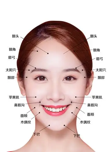 [自体脂肪面部填充]单部位填充·存活高·维持时间长
