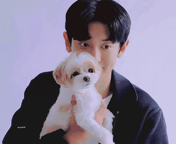 sm第三季度演唱会阵容预告及专辑企划公开,朴灿烈将第三季度solo车览