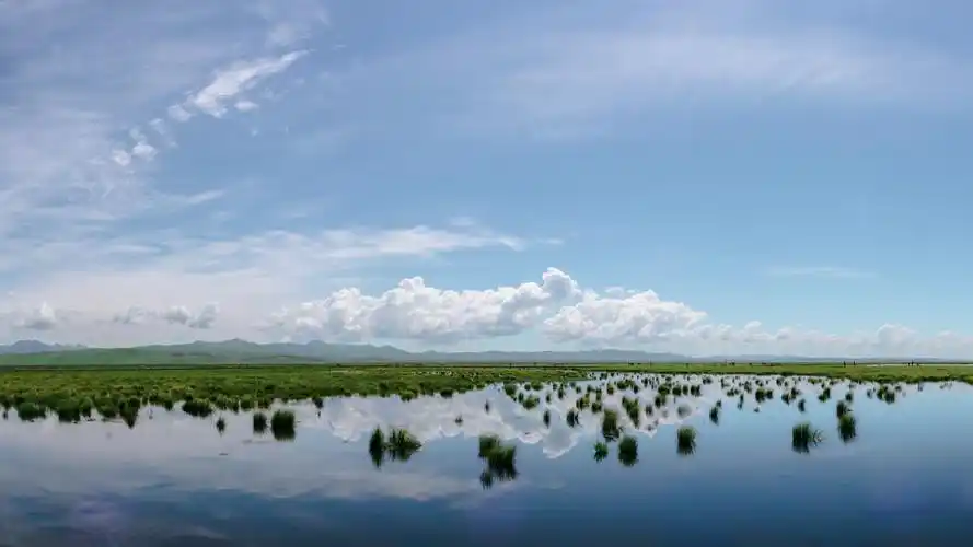 你拍过最美的风景照是哪几张