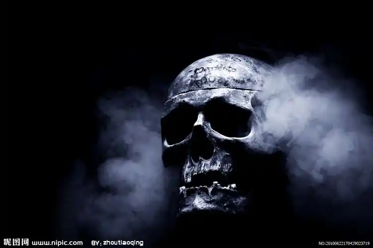 骷髅头图片