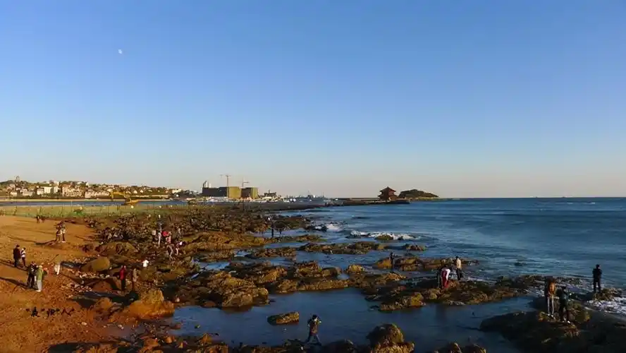 青岛海滨风景区为游客们精心打造了一条精品旅游线路,包含栈桥,小青岛