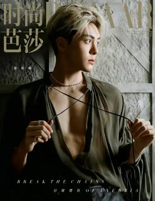 曾舜晞这组时尚芭莎的封面不错啊!张力十足!