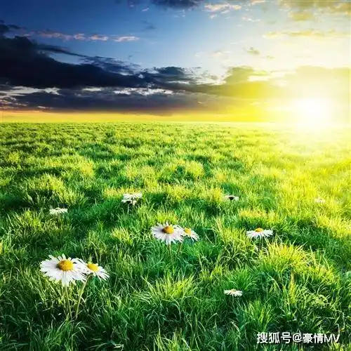 绿色草原系养心又养眼招财聚财带来好运的风景微信图片