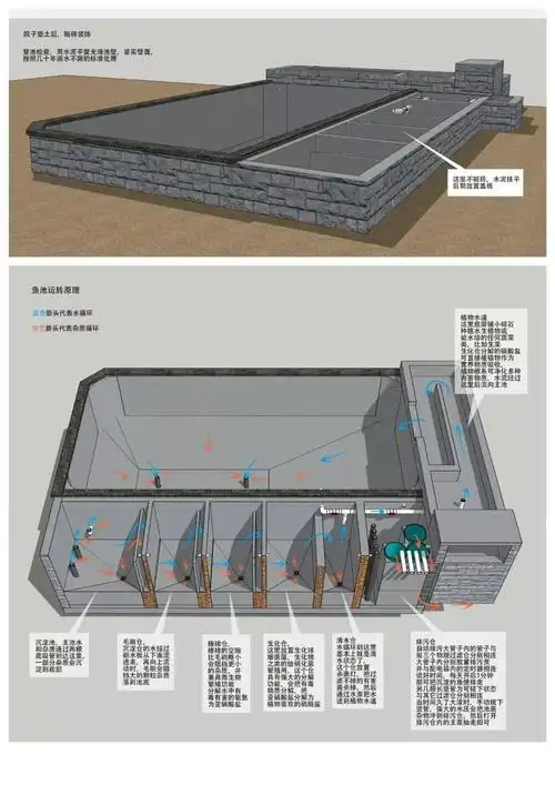 收藏还在为如何造池苦恼吗鱼友家超详细鱼池图纸拿去不谢