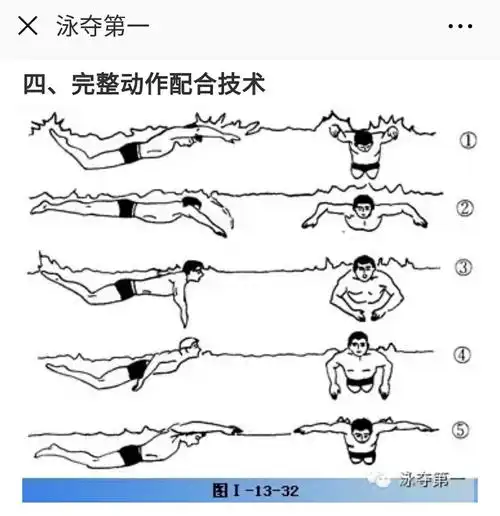 2.保持高肘抱水. 自由泳 1.自由泳高肘划水动图 a.