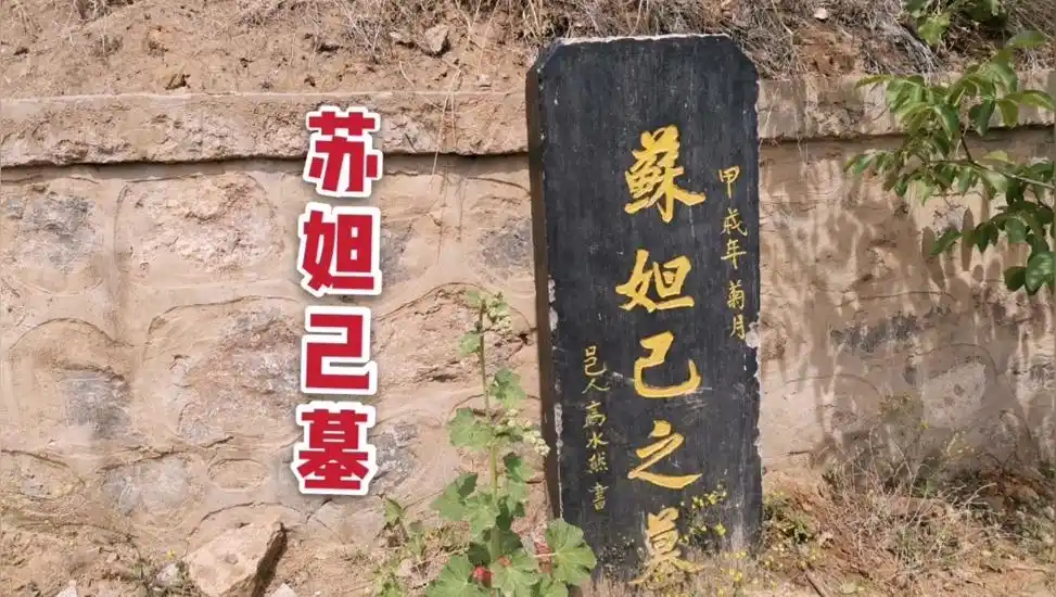 苏妲己的墓在河南已被找到,仍然陪伴在纣王身边!算是同生共死了