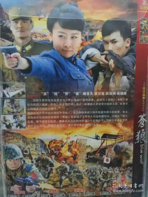 苍狼dvd电视剧 张若昀 《黑豹,黑狐》班底