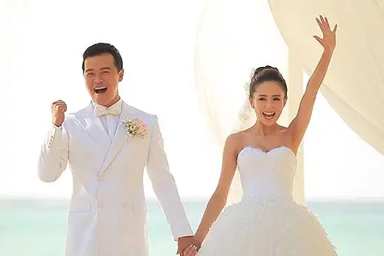 佟丽娅原谅陈思诚出轨