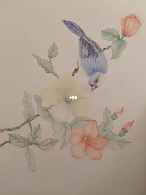 0基础手绘彩铅花鸟画简单手绘