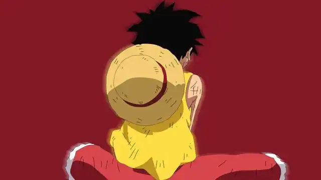 海贼王举左手和举右手的区别是什么?