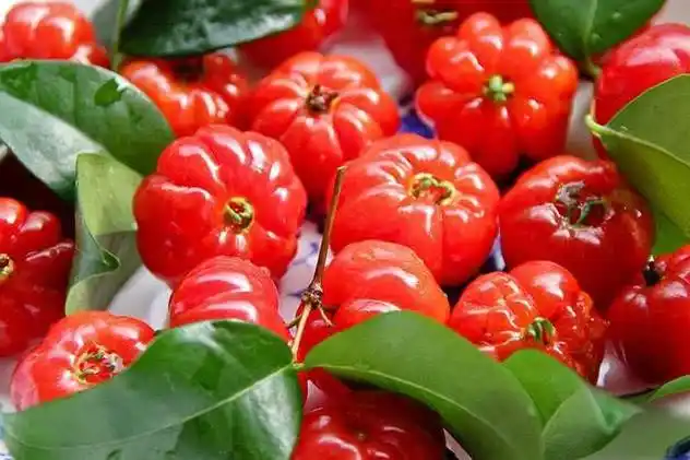 全球最罕见的七种水果,不仅名字怪异,味道也出奇,全吃过的牛!