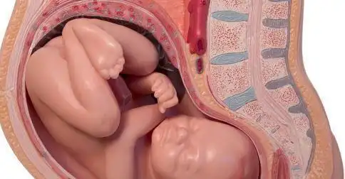 孕晚期胎儿入盆孕妈身体会接收到三个信号准备和宝宝见面吧