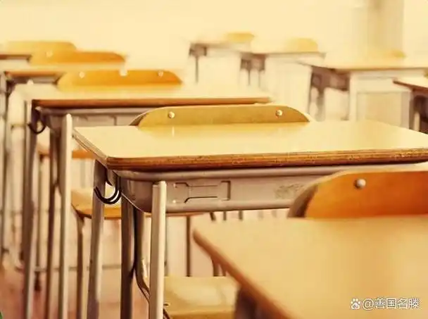 友情在这里绽放,校园时光,一生中最美好的回忆