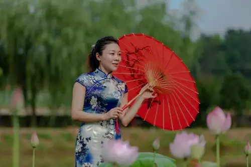 当荷花遇上旗袍