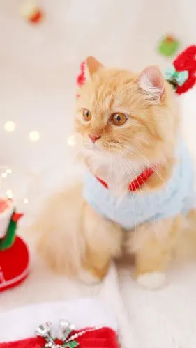 呆萌写真 > || 更新时间:2018-01-13 颜色分 粉色 关键词:  萌萌哒