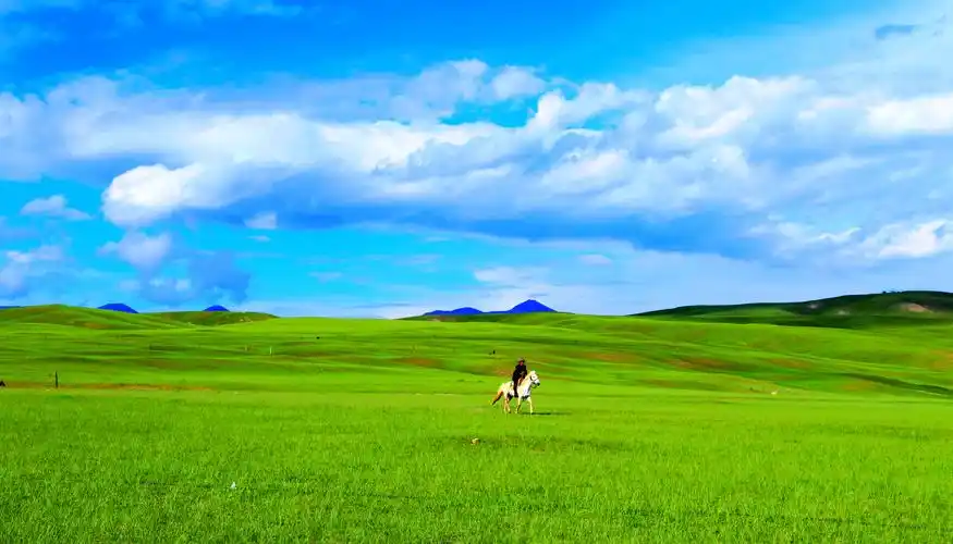 巴音布鲁克大草原