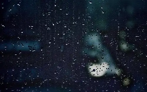 在焦点墙纸外面,高清图片 - 壁纸更好