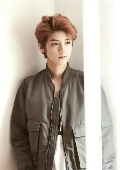 exo 鹿晗 luhan 明星 美男