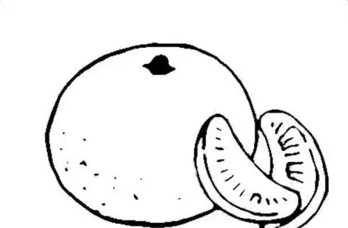 水果简笔画橙子的画法图片简笔画是指用几笔简单的线条简洁迅速地