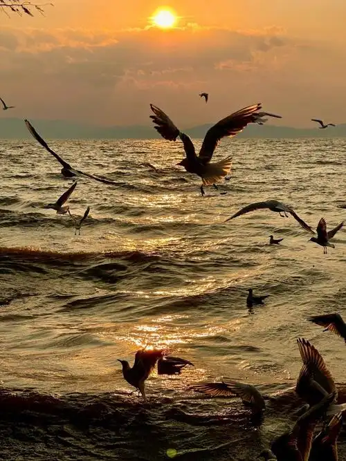 #我的旅行日记##昆明旅游#