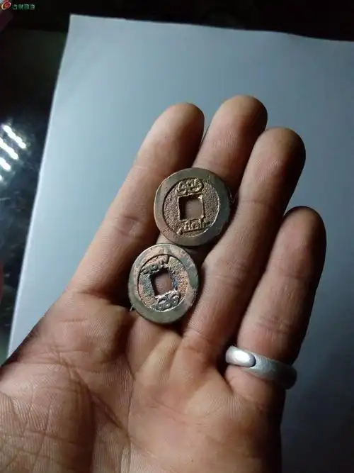 几个水坑金皮小钱