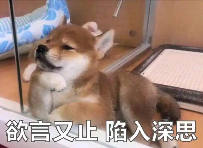 ohboydaily的相册-换不完的朋友圈配图表情包!(每天更新)