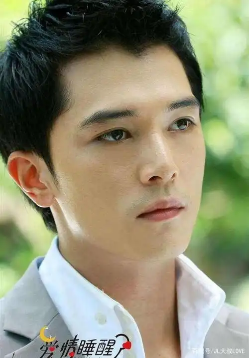当年追剧觉得哪个男明星最帅?
