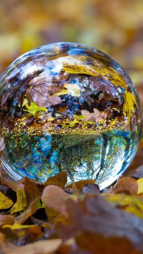 玻璃球,叶子 5k