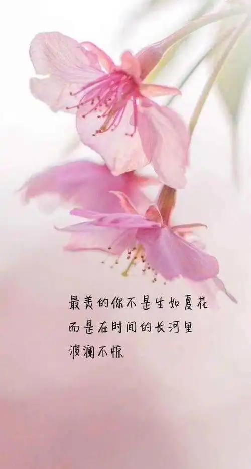 好心情才会有好运气