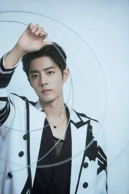 肖战粉丝发文喊话肖战,要将李子柒介绍给他,还说两人很适合_事业_偶像