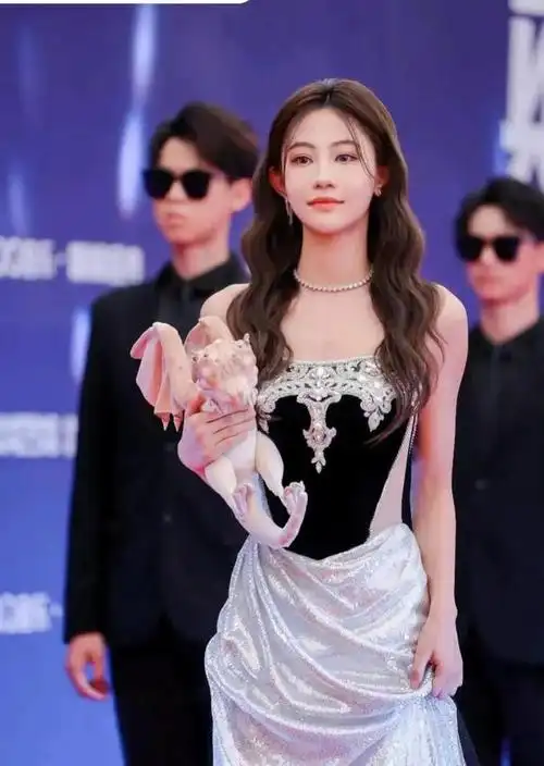 广州这一夜吉克隽逸浮夸张碧晨耐看孟佳让我犯密集恐惧