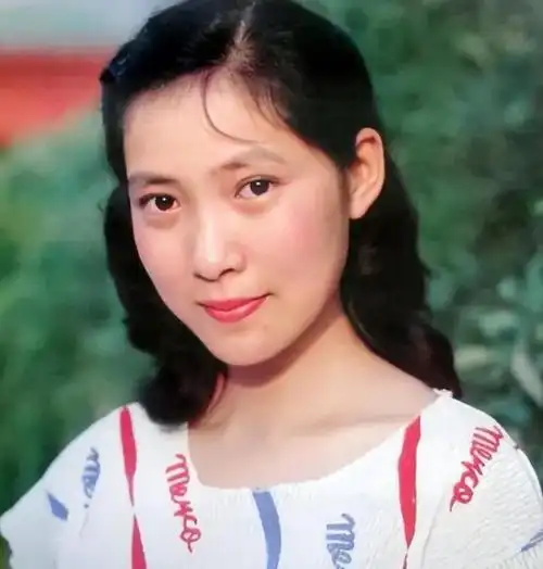 1985年沈丹萍怀孕哭着求丈夫带她去德国产子丈夫这样不光彩