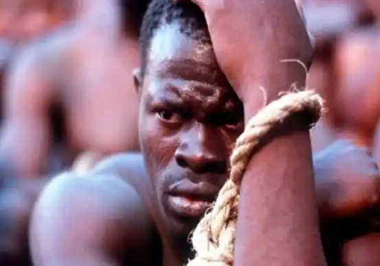 黑人之所以会沦为奴隶,在很大程度上都跟奴隶制部落统治导致的非洲
