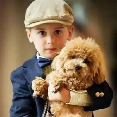 超萌小男孩头像2013最新的可爱小男孩头像高清呆萌可爱小男孩发型14款