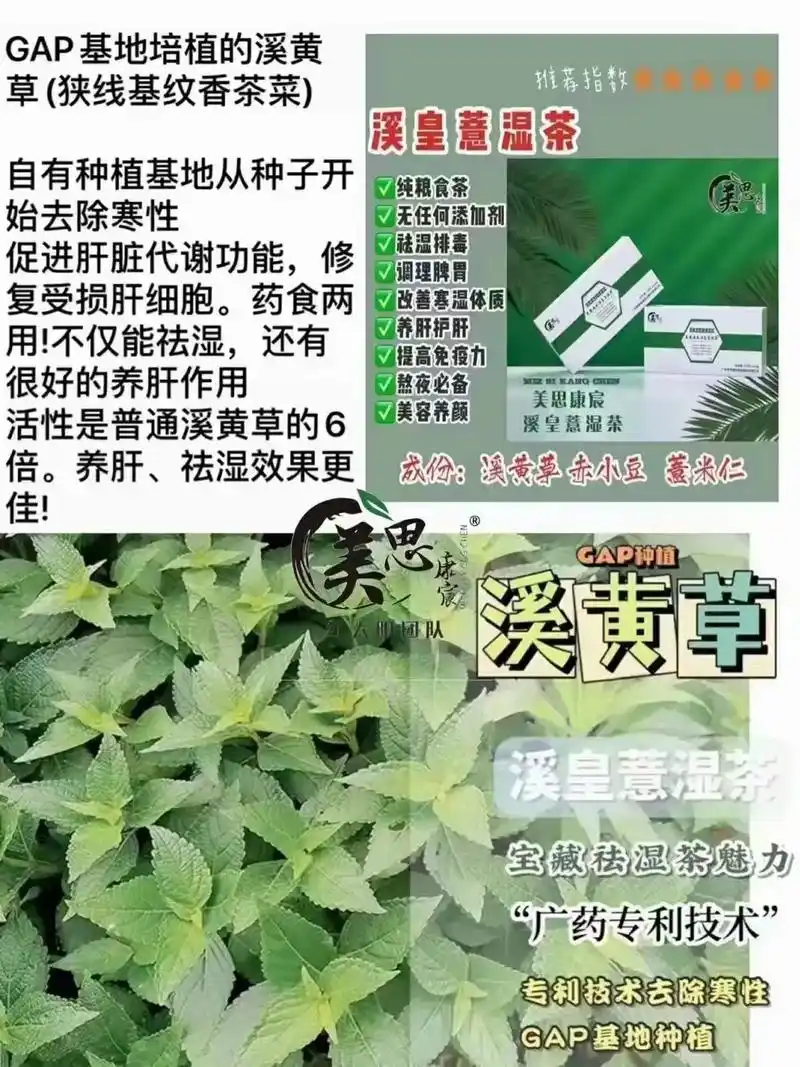 9215 祛湿茶原料78溪黄草: 溪黄草又称"狭基线纹香茶菜"  - 抖