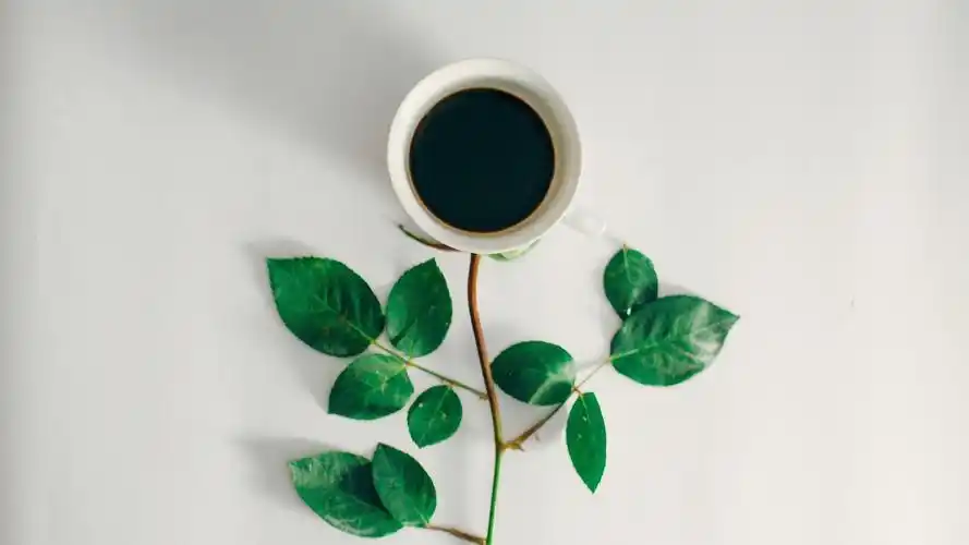 你有那些珍藏多年的win10简约1920x1080壁纸