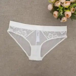 纯白女内裤网纱透视低腰三角裤防真丝刺绣绝美性感裆纯棉两件包邮