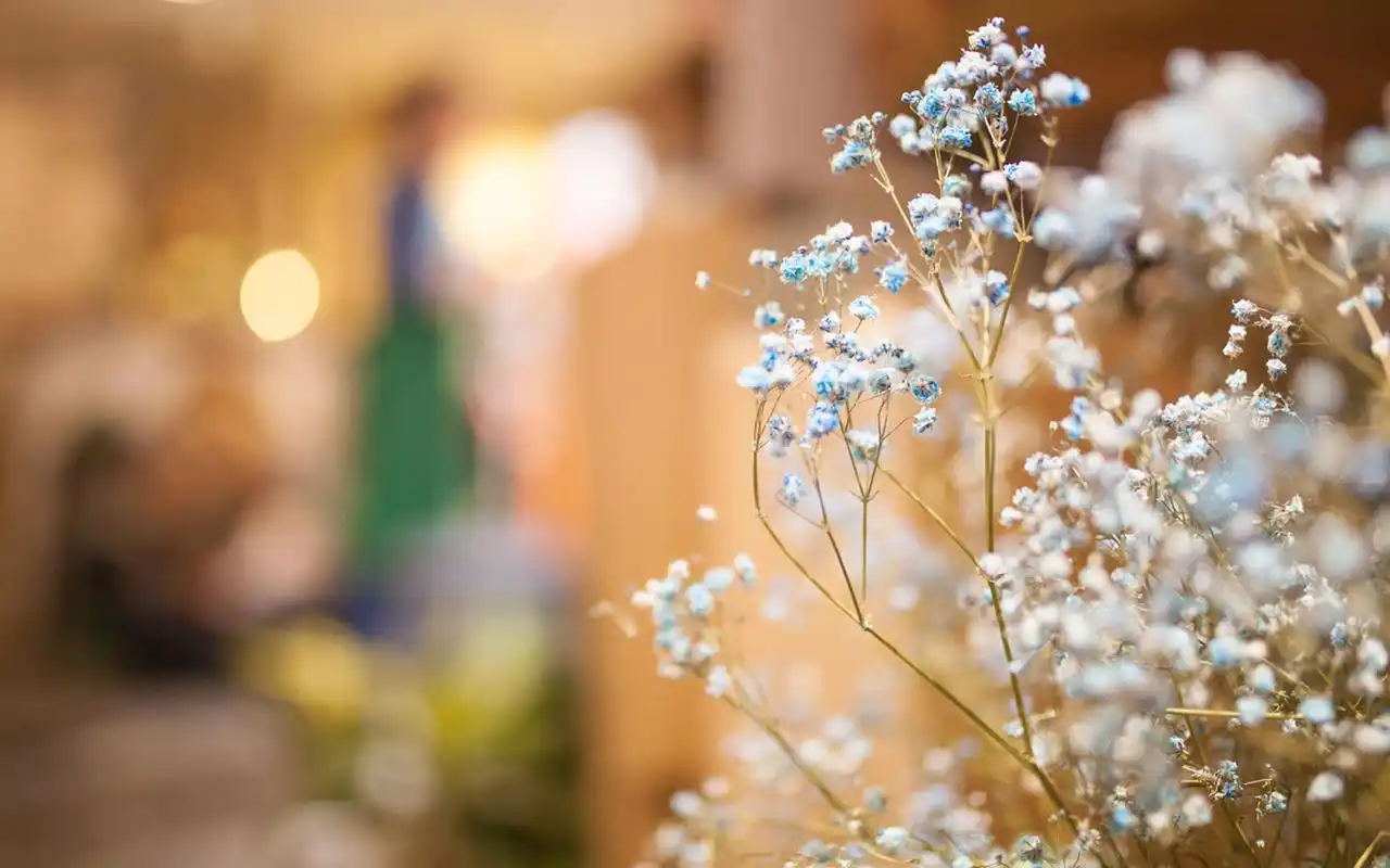 小清新文艺室内静物高清图片桌面壁纸高清大图预览1920×1200_风格